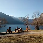 Sporar Apartma Bohinj