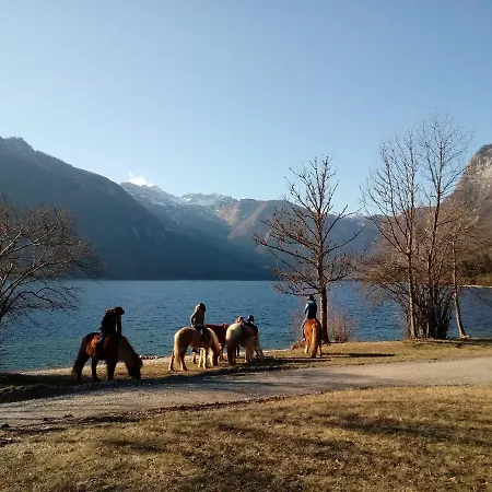 Sporar 아파트 보히니