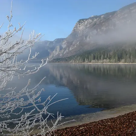 Sporar Apartma Bohinj