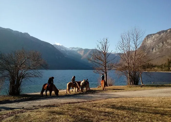Sporar Apartma Bohinj