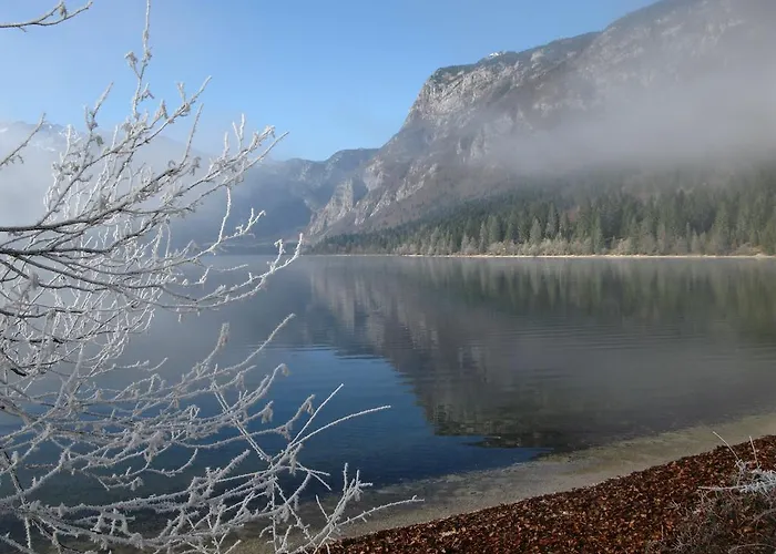Sporar Appartement Bohinj