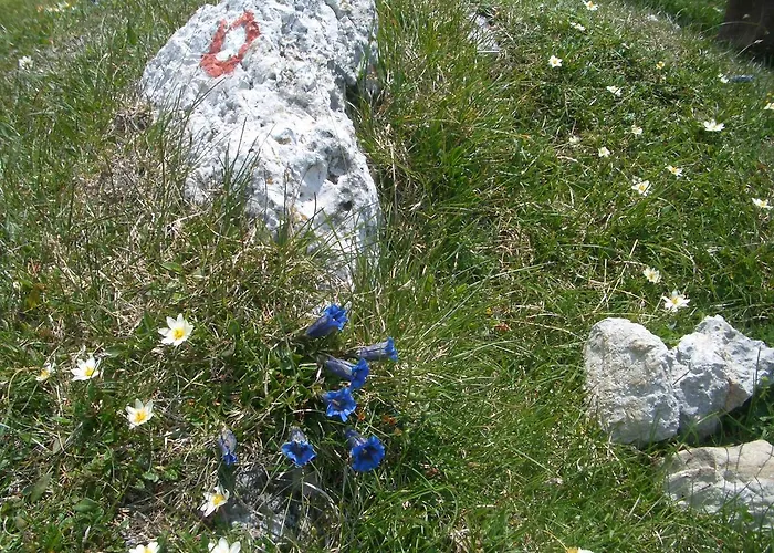 Appartement Sporar Bohinj